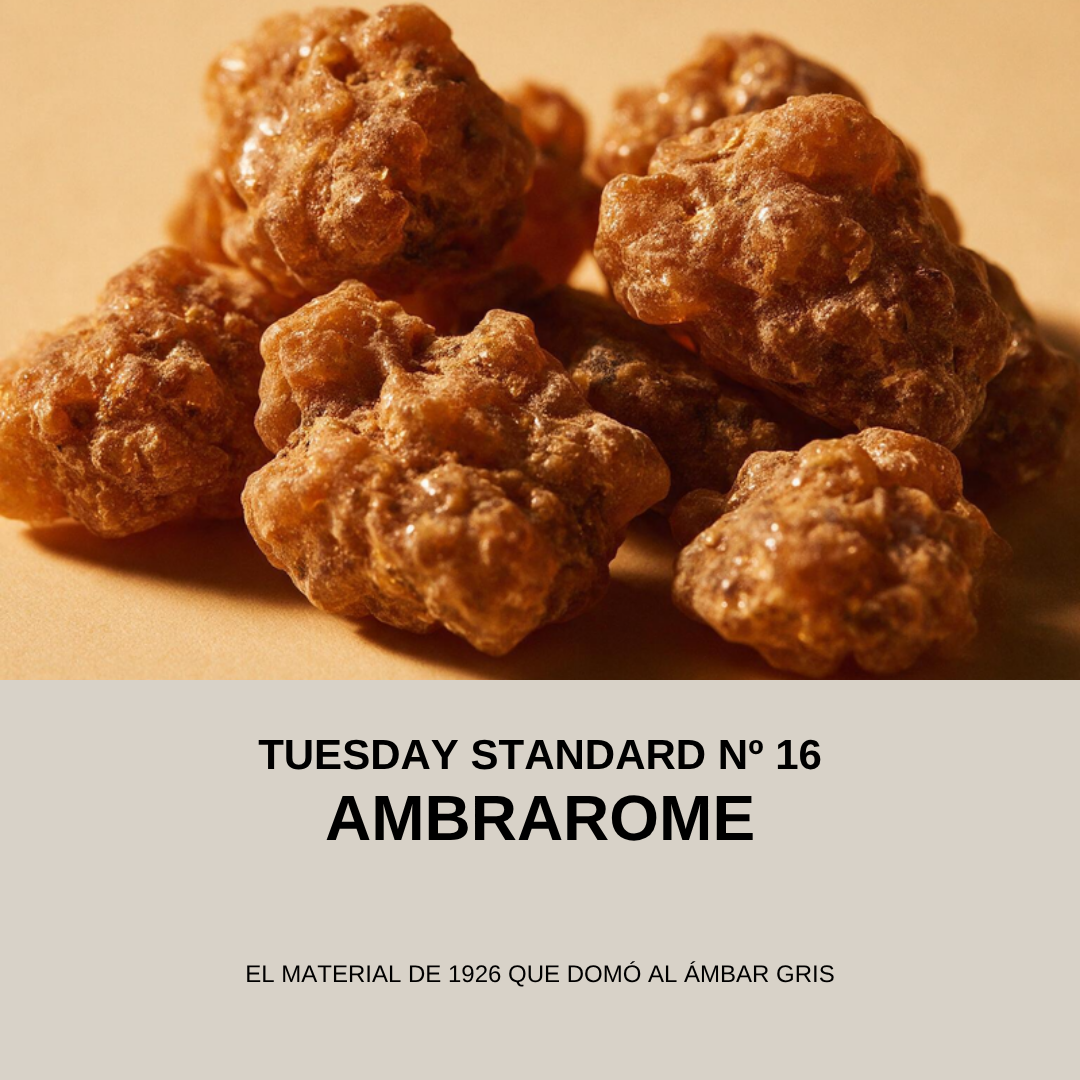 TUESDAY STANDARD Nº16 - Ambrarome