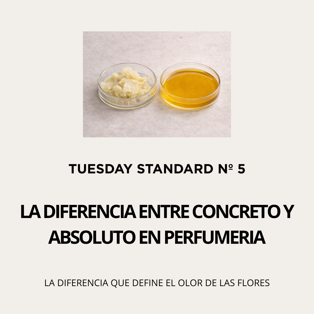 Tuesday Standard Nº 5 - LA DIFERENCIA ENTRE CONCRETO Y ABSOLUTO EN PERFUMERÍA
